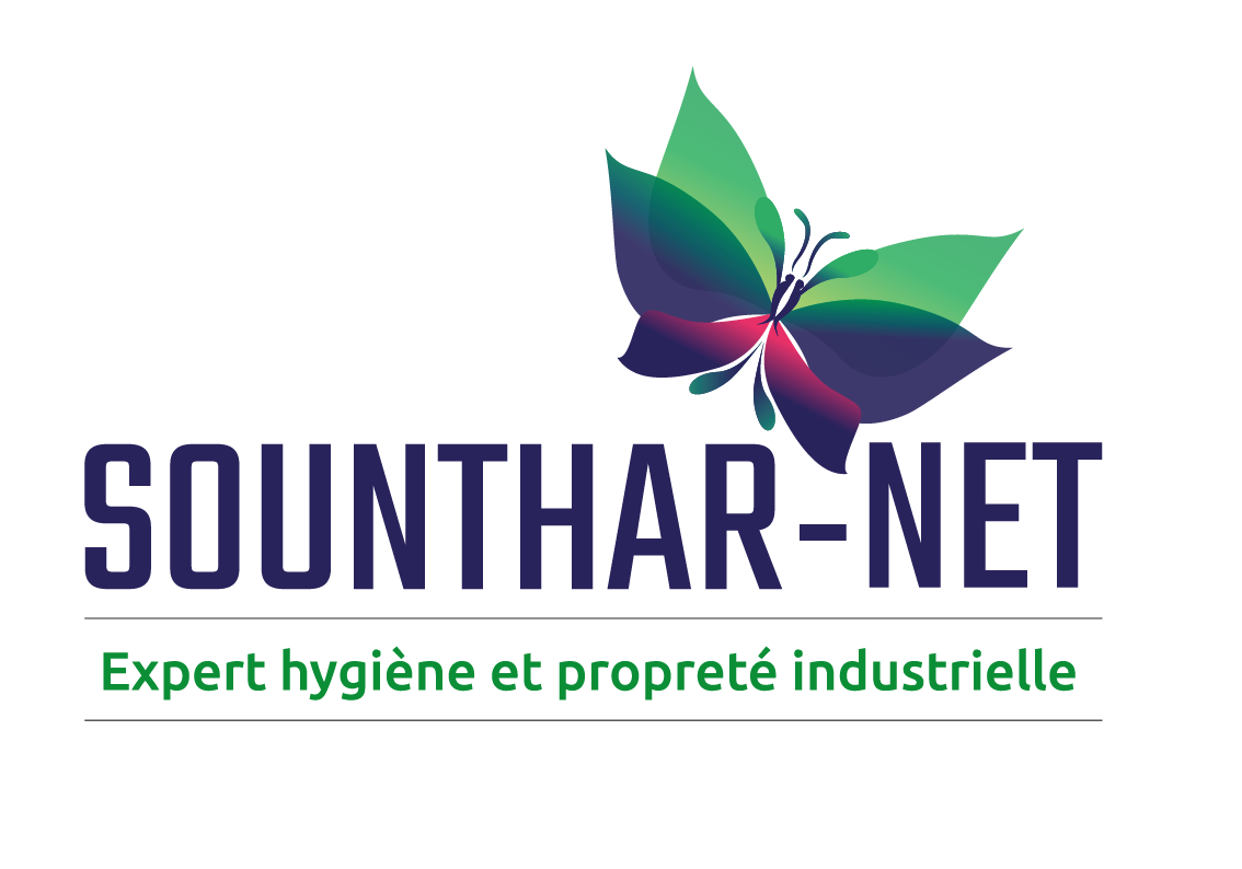 Logo Sounthar-Net papillon violet au vert